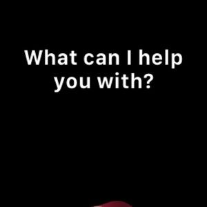 Meet your Posher, Samantha